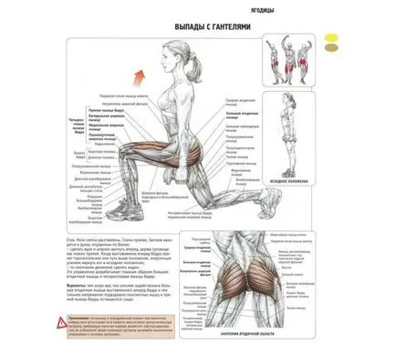Cum de a construi fese genuflexiuni, exerciții, video (exercițiu) Cum de a construi fese genuflexiuni, exerciții, video