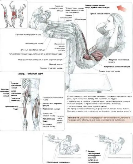 Cum de a construi un cuburi de presă acasă în imagini