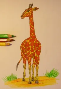 Cum de a desena o girafă, un simplu pas cu pas de desen, copilul meu (pentru a desena o girafa pentru copii) Cum de a desena o girafă, un simplu pas cu pas de desen, copilul meu