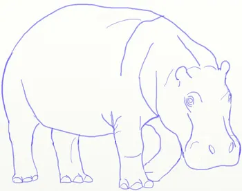 Cum de a desena o imagine Hippo Hippo în etape