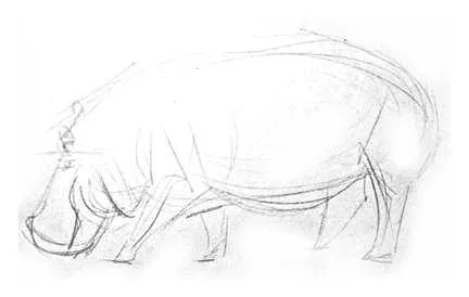 Cum de a desena un Hippo (gippopopotama) (cum să atragă un hipopotam) Cum de a desena un Hippo (gippopopotama)