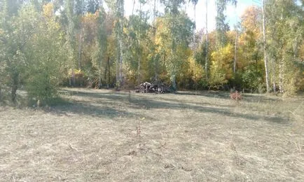 Cum de a găsi densitatea de încărcare de suprafață pe planul
