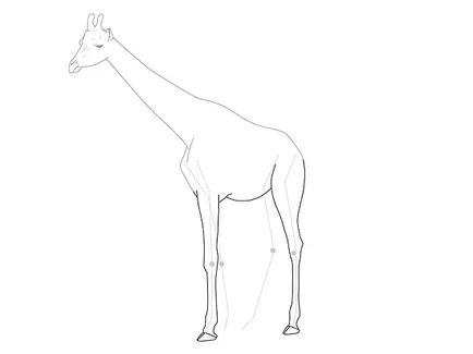 Cum de a desena un creion girafă în etape pentru copii, ls