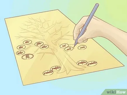 Cum de a desena un arbore genealogic