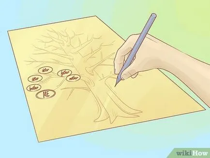 Cum de a desena un arbore genealogic