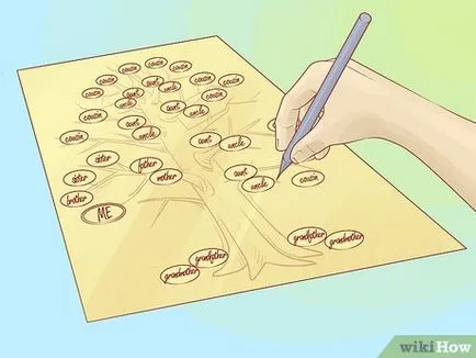 Cum de a desena un arbore genealogic