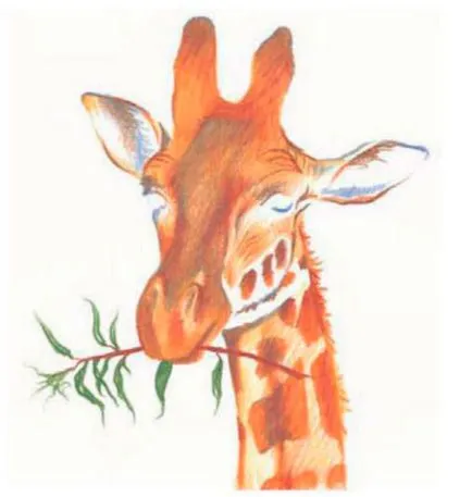 Cum de a desena un creioane colorate girafă în etape