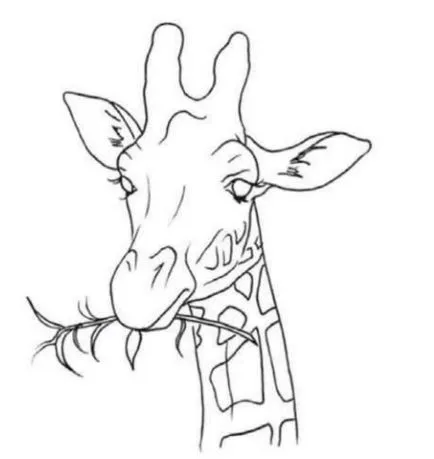 Cum de a desena un creioane colorate girafă în etape