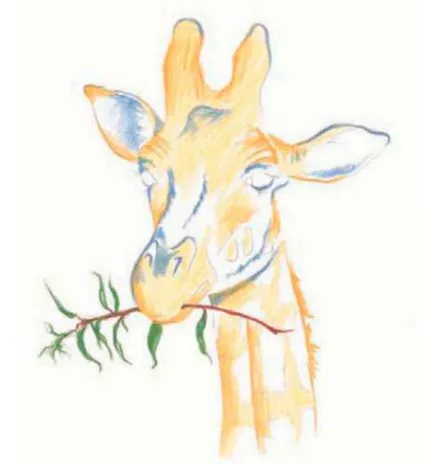Cum de a desena un creioane colorate girafă în etape