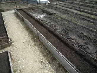 Cum de a determina solul la locul - structura mecanică și aciditate