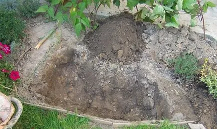Cum de a face un pat de flori în fața casei - foto și instrucțiuni pentru cel mai bun film paturi de flori