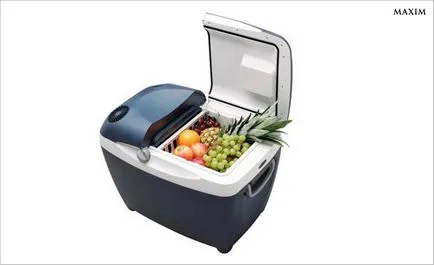 Cum de a organiza un picnic perfect, 1 (picnic tradițional tolera) Cum de a organiza un picnic perfectă 1