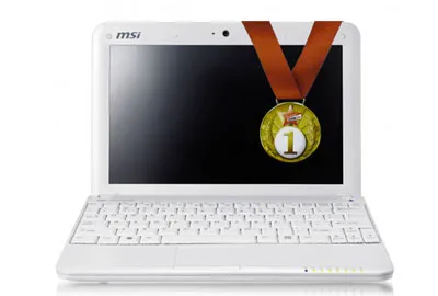 Care este cel mai bun netbook (un puternic și ușor)