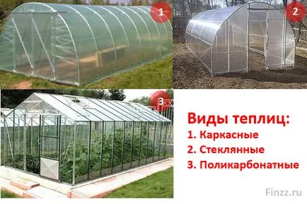 Cum de a deschide o afacere în creștere căpșuni de la sol cu un plan de calcule de afaceri (business) Cum de a deschide o afacere în căpșuni în creștere de la sol cu un plan de afaceri calcule