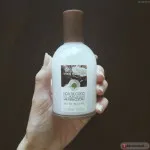 Cum să nu mai fie primitiv (primitiv) Cum să nu mai fie primitiv