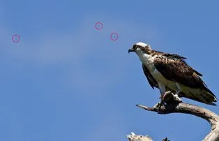 Cum se curata matricea, lentila și obiectivul aparatului foto (lentile) Cum se curata matricea, lentila și obiectivul aparatului foto