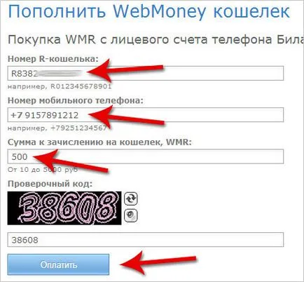 Cum să alimenteze contul WebMoney pentru a pune bani pe WebMoney repede! (Pune) Cum să alimenteze contul WebMoney pentru a pune bani pe WebMoney repede!
