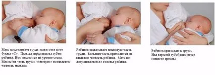Cum de a crește conținutul de grăsime al laptelui matern la mamele care alăptează, care alimente pentru a mânca (creștere) Cum de a crește conținutul de grăsime al laptelui matern la mamele care alăptează, care ar trebui să fie consumate alimente