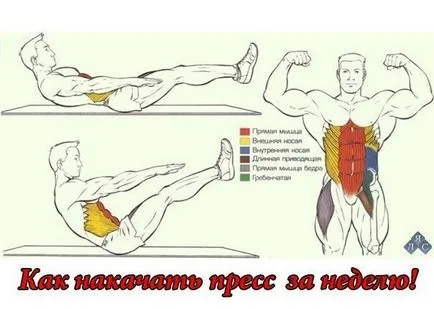 Cum să oscileze un bărbați de presă la domiciliu imaginea (dreapta) Cum să oscileze în casă presă bărbați imagini