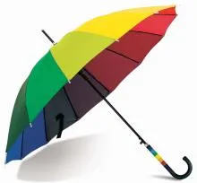Cum de a alege o umbrelă de sex feminin de sex masculin bun sau