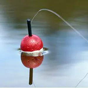 Cum de a alege un flotor