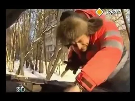 Cum să aprindă o țigară (video câine) Cum să aprindă o țigară