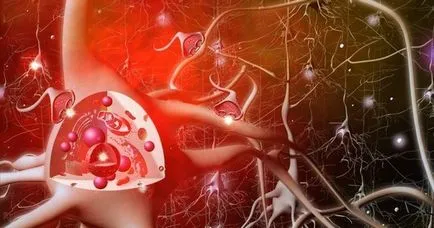 Ca neurotransmitatori locul de muncă și de ce este atât de important pentru anticiparea plăcerii
