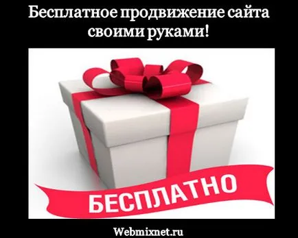 Cum de a promova site-ul dvs. vă gratuit blog Maksima Obuhova Cum de a promova site-ul dvs. vă gratuit blog Maksima Obuhova