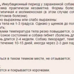 Cum de a bloca megafonul cartela SIM - o școală modernă