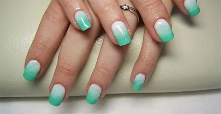 Cum de a desena pe picturi shellac acrylics la domiciliu (instrucțiuni) Cum de a desena pe picturi shellac Acrylics la domiciliu