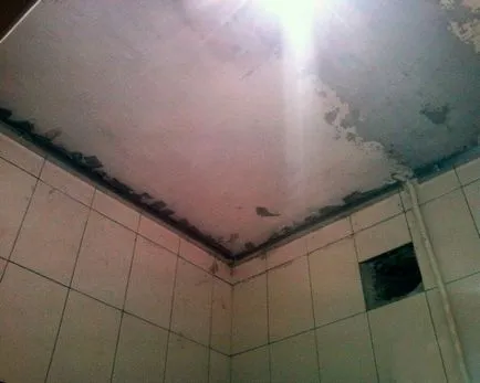 Cum sa faci un plafon de panouri de plastic în baie cu mâinile lor (de a face) Cum sa faci un plafon de panouri de plastic în baie cu mâinile lor