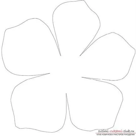 Cum de a face o plat și trei appliqué-dimensională de hârtie colorată, diferite tipuri de aplicații și etapa (aplicare) Cum de a face o plat și trei appliqué-dimensională de hârtie colorată, diferite tipuri de aplicații și etapa