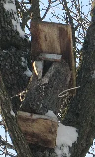 Cum de a face Birdhouse potrivit pentru păsări, cu propriile sale mâini o casă în sat (de a face) Cum de a face Birdhouse potrivit pentru păsări, cu propriile sale mâini o casă în localitate