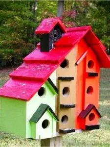 Cum sa faci o Birdhouse precum
