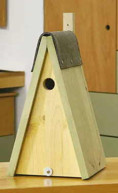 Cum sa faci o Birdhouse propriile sale mâini, prima casa