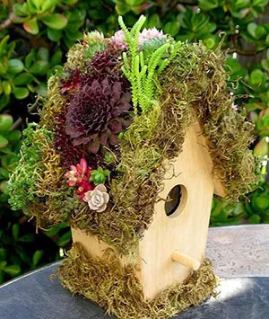 Cum sa faci o Birdhouse propriile idei mâinile sale, exemple de fotografii, aspectul și dimensiunile - de îngrijire și întreținere Cum sa faci o Birdhouse propriile idei mâinile sale, exemple de fotografii, aspectul și dimensiunile - de îngrijire și întreținere