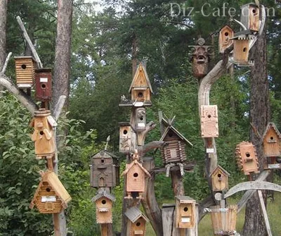 Cum sa faci o Birdhouse cu mâinile cum să facă proiectarea de lemn (do) Cum sa faci o Birdhouse cu mâinile modul de a face proiectarea de lemn