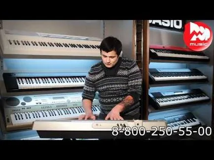 Cum de a face un sunet sintetizator simplu (pisoi amuzant) Cum de a face un sunet simplu sintetizator