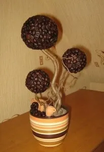 Cum să faceți propriile mâini Topiary clasă maestru copac de fericire de cafea