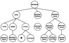 Cum sa faci un copac de familie, tehnologia de citire