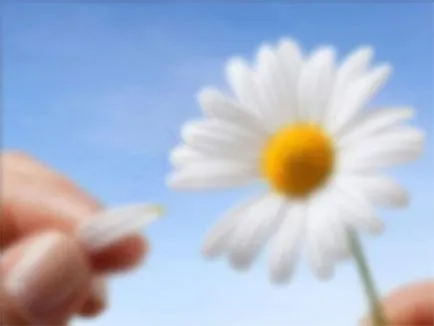 Cum să-i spuneți tipul care îi place dacă să vorbească despre sentimentele lor tînărului (cum ar fi) Cum să-i spuneți tipul care îi place dacă să vorbească despre sentimentele lor tînărului