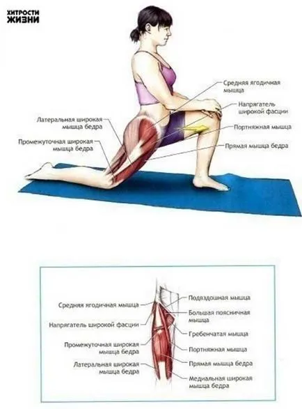 Cum complexul se desparte de cele mai eficiente exerciții