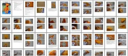 Cum să creați artizani corecte primul master-class - manual, lucrate manual