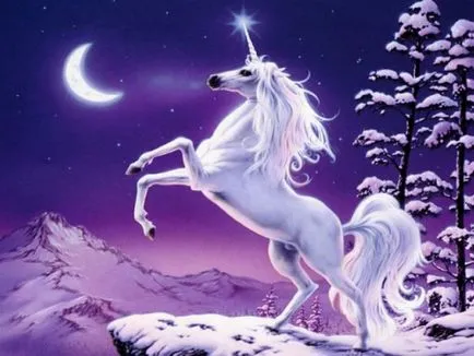 Cum să coase un unicorn cal