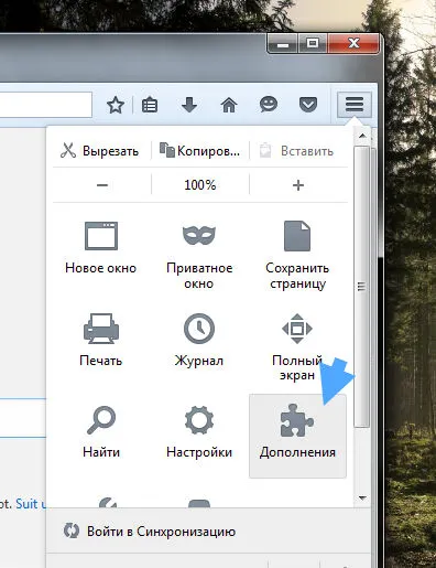 Cum de a elimina virusul din anunțul pe computer (click motoarele de căutare Particularizare) Cum de a elimina virusul din anunțul pe computer