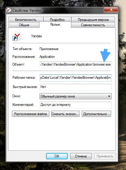 Cum de a elimina virusul din publicitate pe computer (Ajustați motoarele de căutare) Cum de a elimina virusul din anunțul pe computer