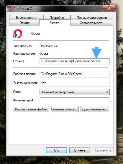 Cum de a elimina virusul din anunțul pe computer (click motoarele de căutare Particularizare) Cum de a elimina virusul din anunțul pe computer