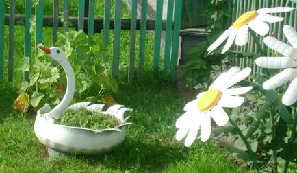 Cum de a decora o zonă suburbană cu flori - poze cu descriere