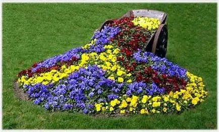 Cum de a decora o grădină și o zonă suburbană cu mâinile lor - foto și video