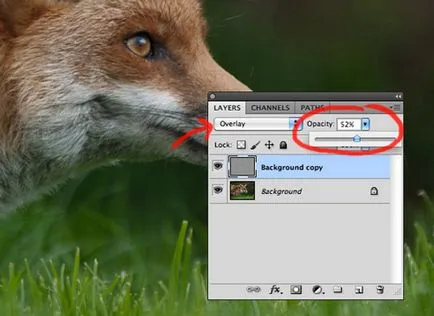 Cum de a îmbunătăți claritatea fotografiilor în Photoshop - bucătărie fotoshopkinoy